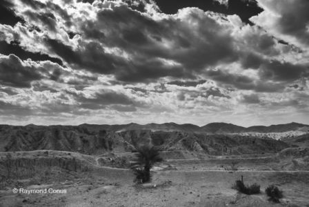 Paysages tunisiens (7)