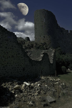 Peyrepertuse castle under the moon (2)