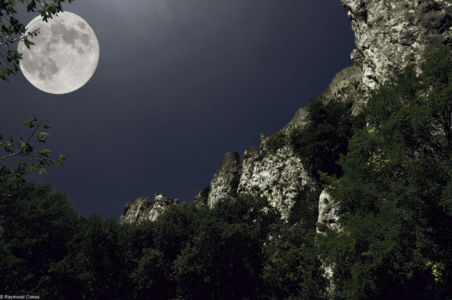 Peyrepertuse castle under the moon (8)