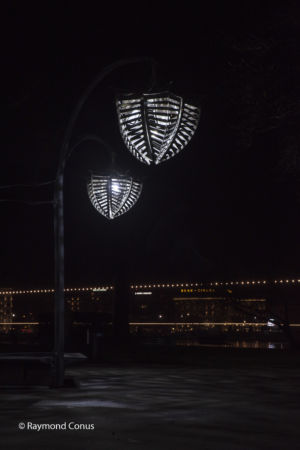 Physalis lanterns, Love in a cage (11)