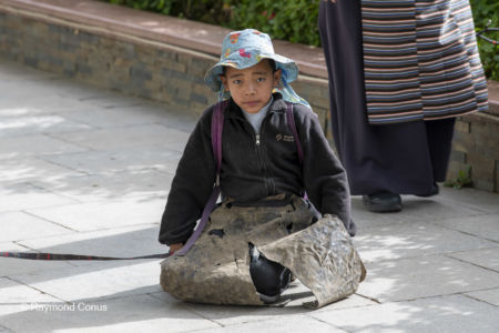 Prostration (11)