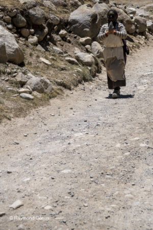 Prostration (18)