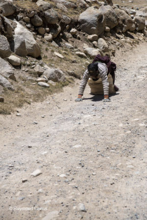 Prostration (22)