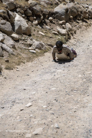 Prostration (24)