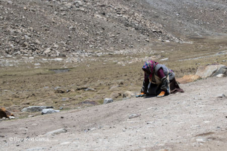 Prostration (32)