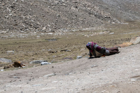 Prostration (33)
