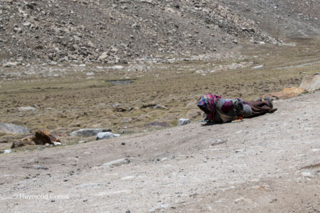 Prostration (34)