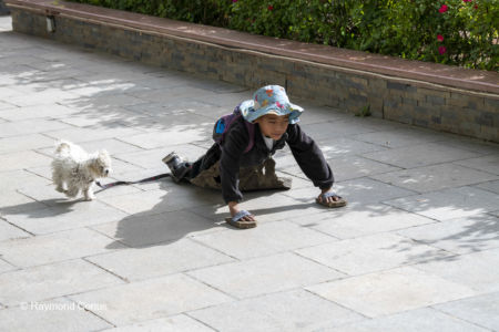Prostration (8)