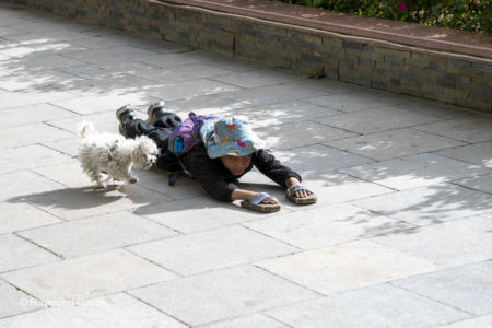 Prostration (9)