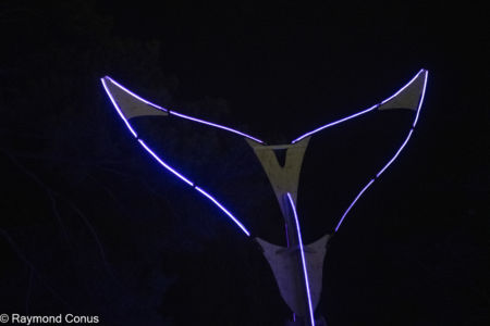 Reflet des Abysses (4)