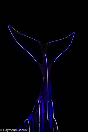 Reflet des Abysses (5)