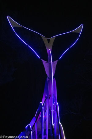 Reflet des Abysses (6)