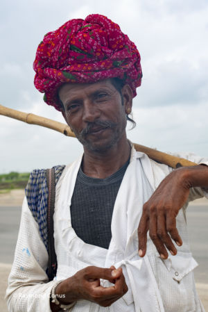 Berger près de Udaïpur, Inde, 2016