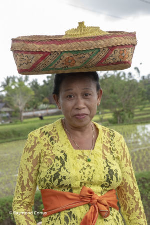 Femme au milieu des rizières, Ubud, Bali, 2018