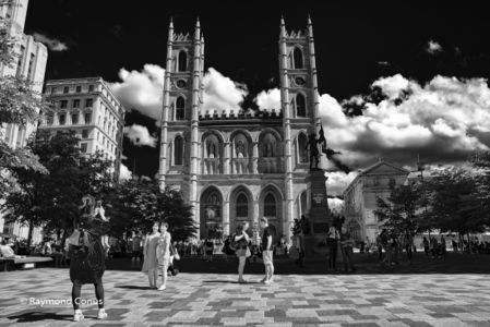 SP Montréal (4)