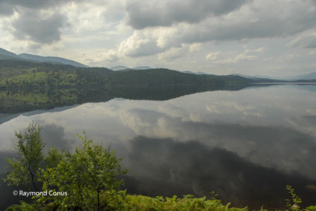 Scotland (36)