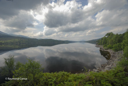 Scotland (38)
