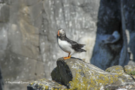Scotland (46)