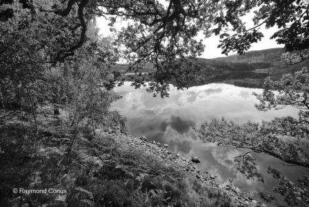 Scottish landscapes (25)