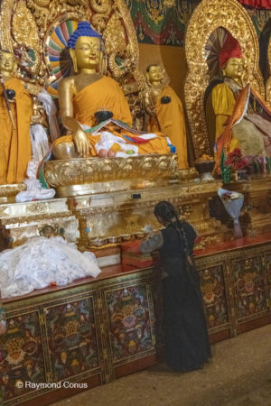 Shalu Monastery (15)