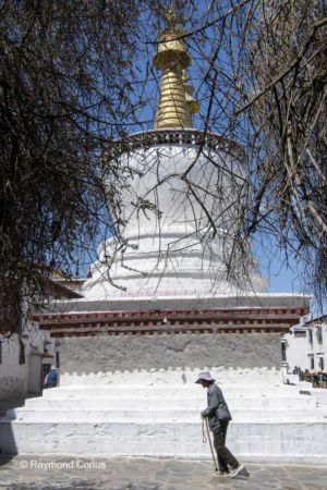 Shalu Monastery (21)