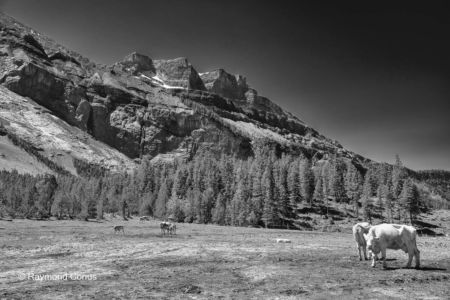 Swiss landscapes (121)