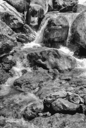 Swiss landscapes (126)