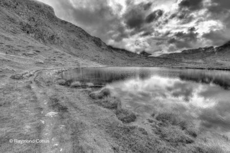 Swiss landscapes (247)