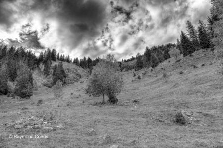 Swiss landscapes (29)