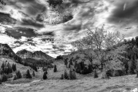 Swiss landscapes (43)