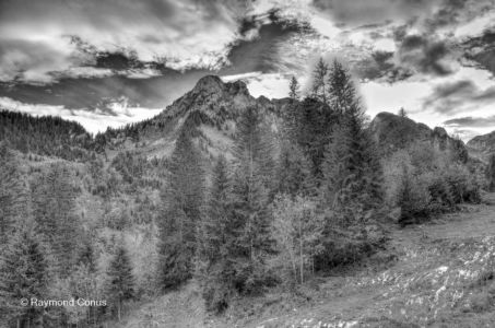 Swiss landscapes (45)