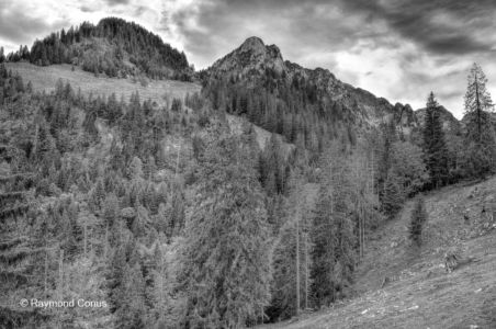 Swiss landscapes (47)