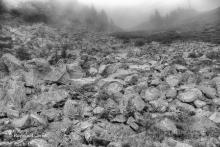 Swiss landscapes (68)