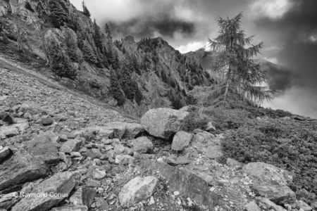 Swiss landscapes (73)