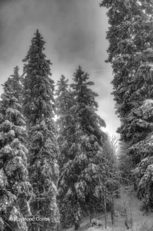 Swiss landscapes (80)