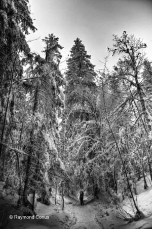 Swiss landscapes (84)