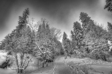 Swiss landscapes (88)