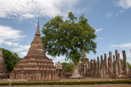 Thaïlande (43)