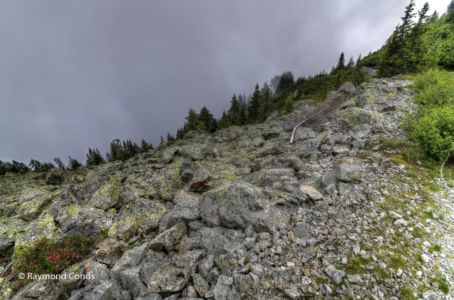 The Marécottes (13)