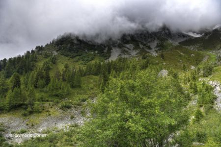 The Marécottes (1)