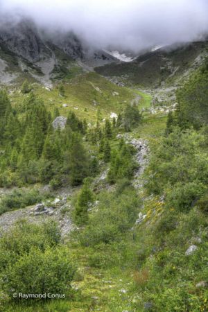 The Marécottes (3)