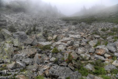 The Marécottes (7)