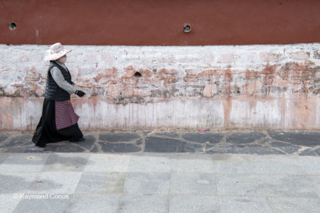The Tibetans (14)