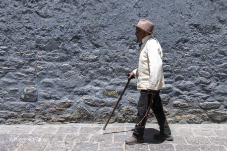 The Tibetans (22)