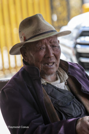The Tibetans (23)