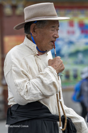 The Tibetans (2)