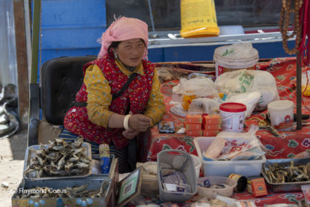 The Tibetans (35)