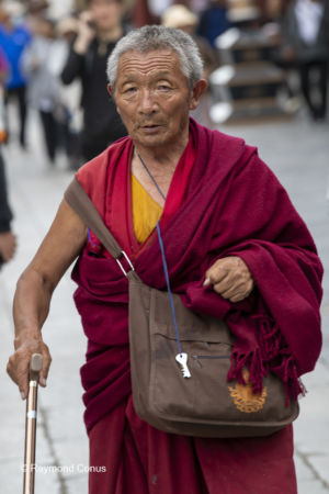 The Tibetans (41)