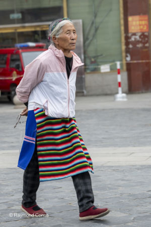 The Tibetans (47)