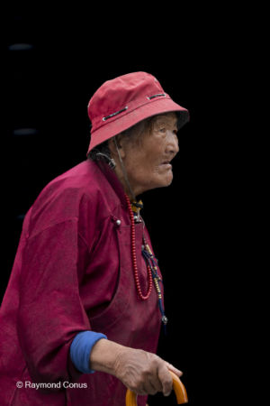 The Tibetans (50)